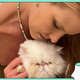 Image for article titled I Want To Be One Of Beth Stern's Foster Cats